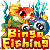 Cau Ca Bingo kuwin vn slot
